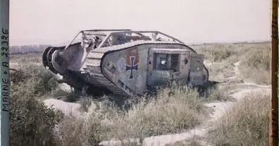 Картинка довгочиту
