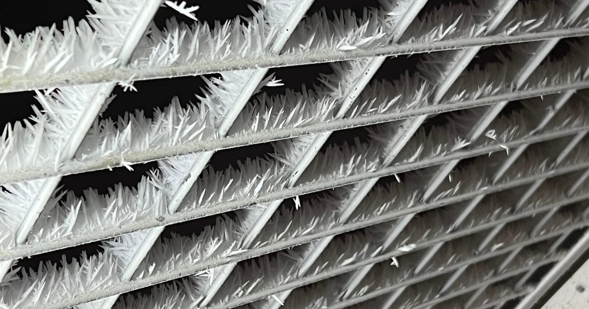 Ми всі люди! - Єгор на we.ua