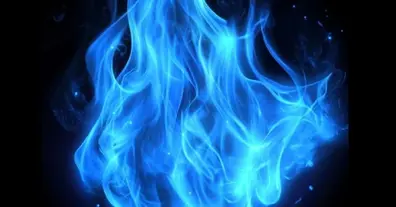 Картинка довгочиту