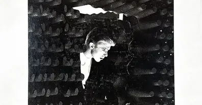 Картинка довгочиту