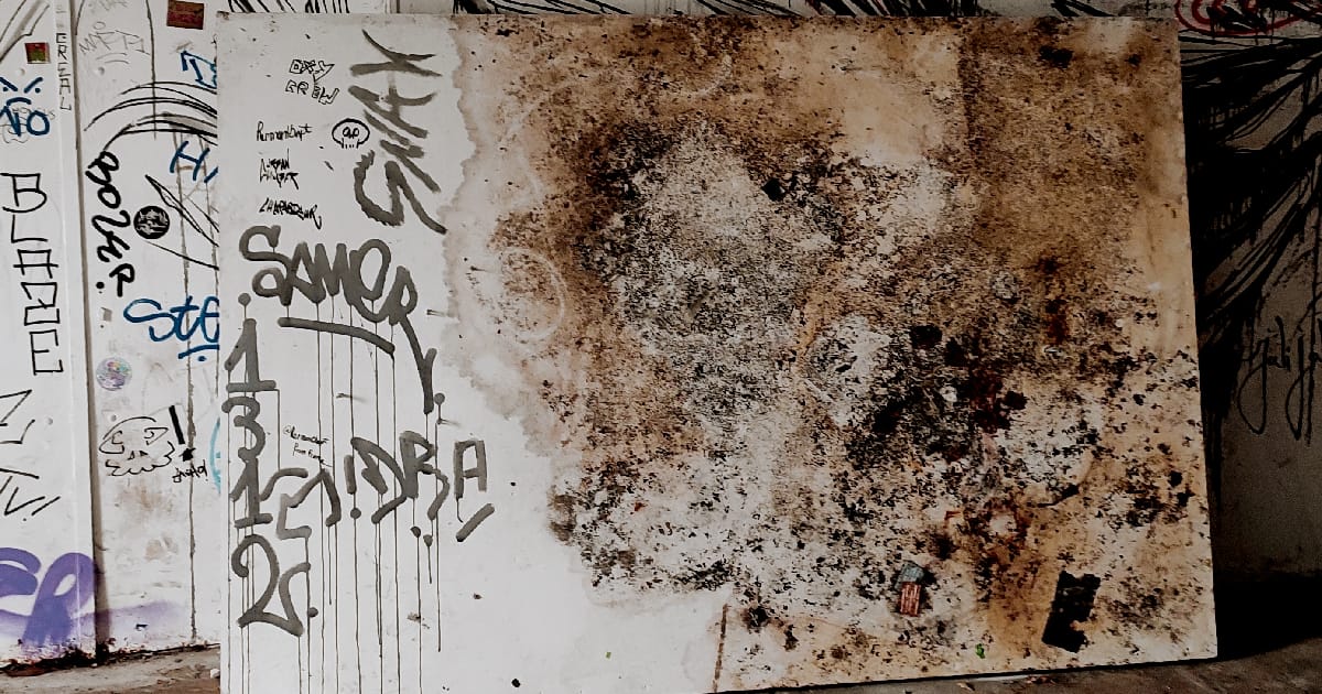 Де сонця ранкового світить проміння - Данило Хвіта на we.ua