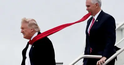 Картинка довгочиту