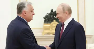 Картинка довгочиту