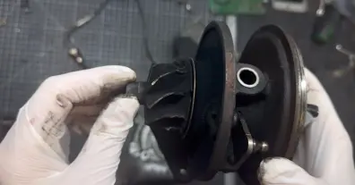 Картинка довгочиту