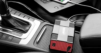 Картинка довгочиту