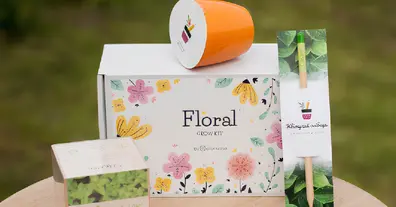 Картинка довгочиту