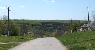 Картинка довгочиту