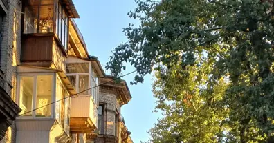 Картинка довгочиту