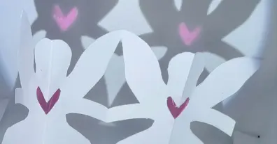 Картинка довгочиту