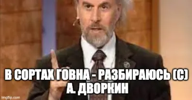 Картинка довгочиту