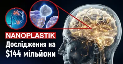 Картинка довгочиту