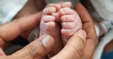 Картинка довгочиту