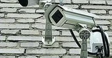 Картинка довгочиту