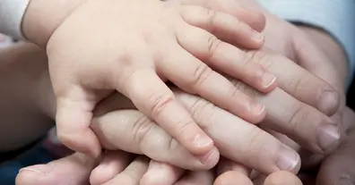 Картинка довгочиту