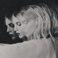 сріблястий лис