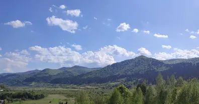 Картинка довгочиту