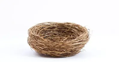 Картинка довгочиту