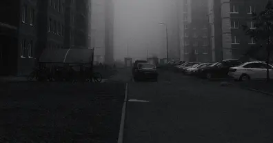 Картинка довгочиту