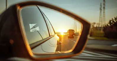 Картинка довгочиту