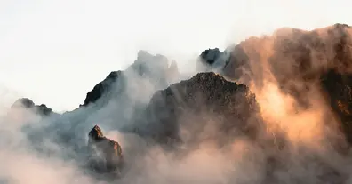 Картинка довгочиту