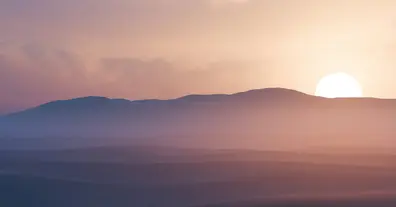 Картинка довгочиту