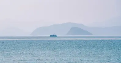 Картинка довгочиту