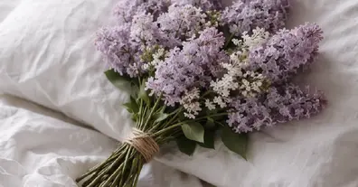 Картинка довгочиту