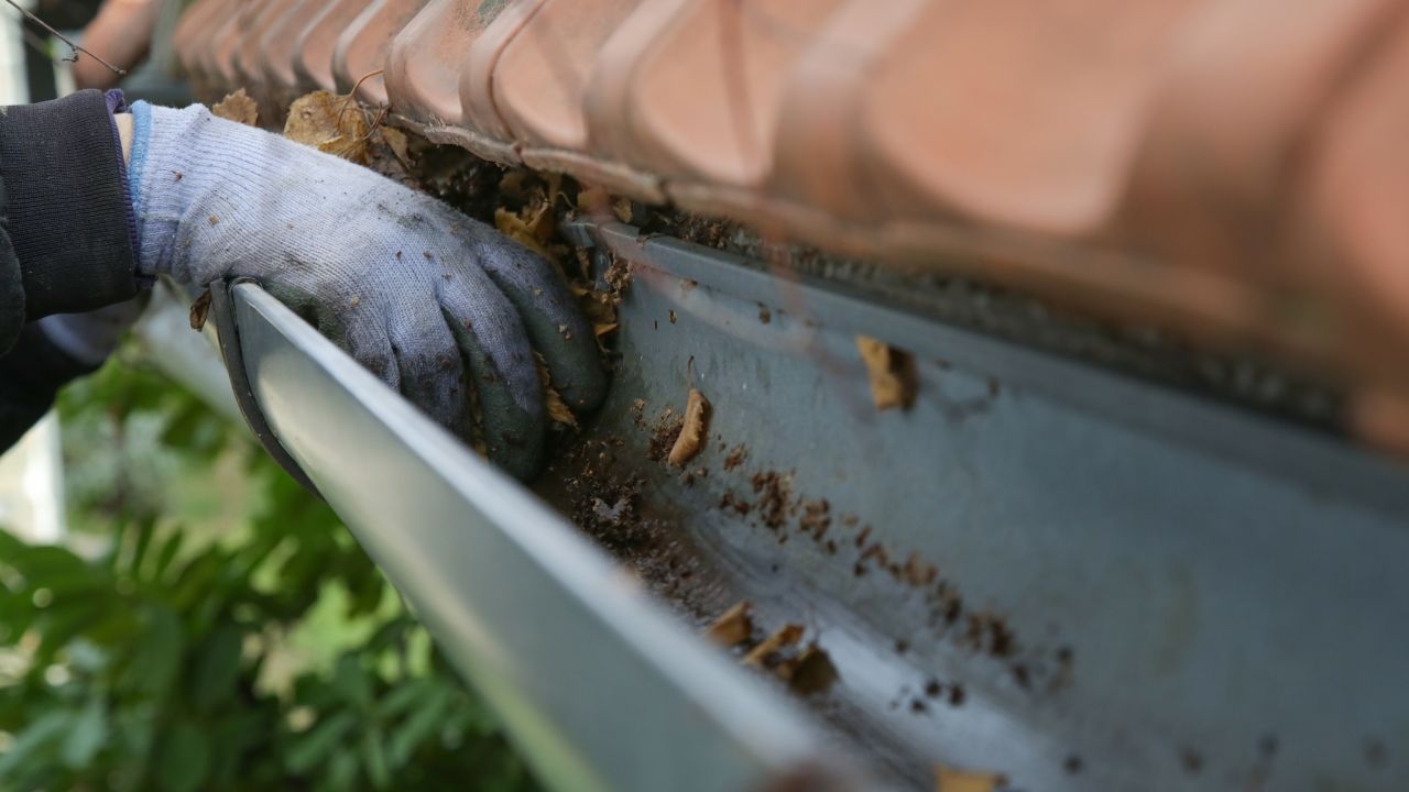 Gutter Cleaning Service