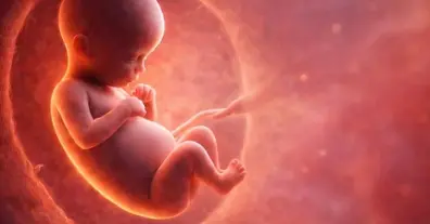 Картинка довгочиту