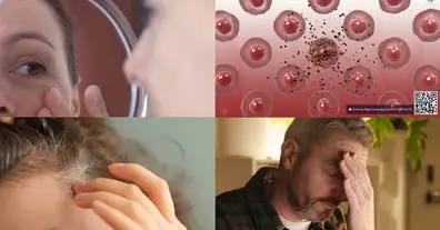 Картинка довгочиту