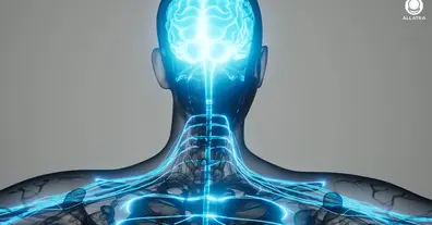 Картинка довгочиту