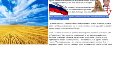 Картинка довгочиту