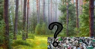 Картинка довгочиту