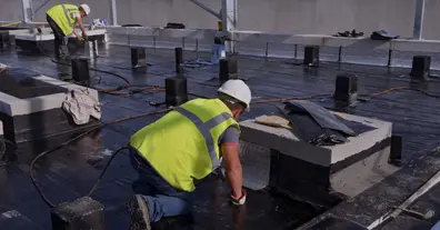 Картинка довгочиту