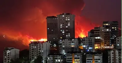 Картинка довгочиту