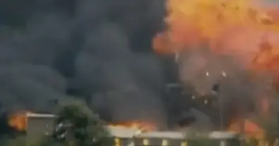 Картинка довгочиту