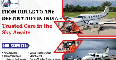 Картинка довгочиту