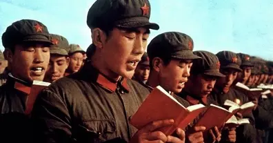 Картинка довгочиту