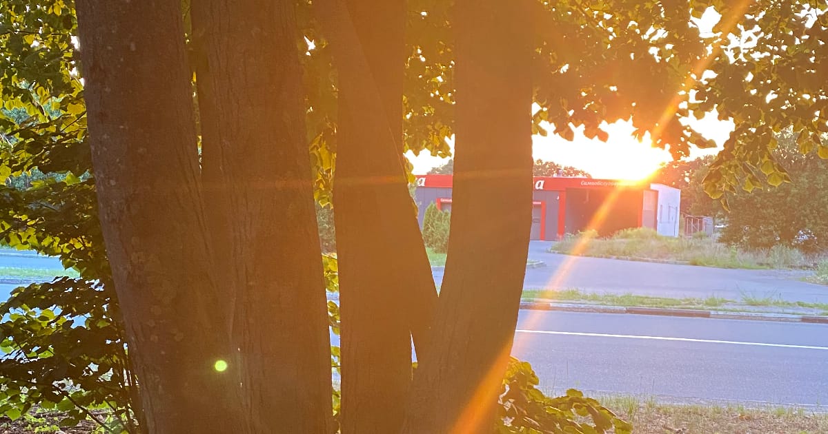 Україно, не плач… - Тетяна Салова на we.ua