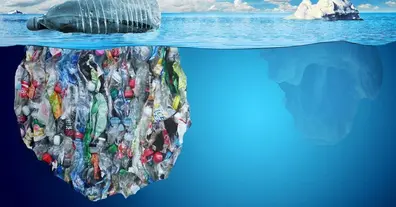Картинка довгочиту
