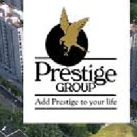 Prestige Evergreen