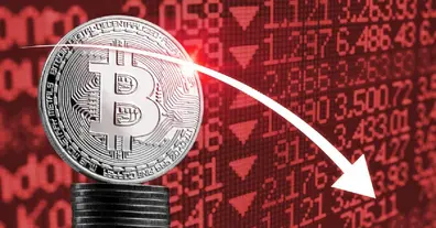 Картинка довгочиту