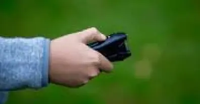 Картинка довгочиту