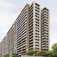 Prestige Evergreen
