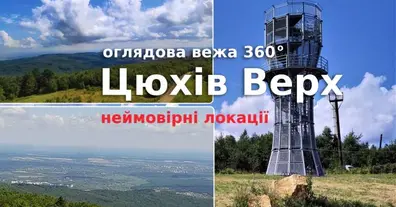 Картинка довгочиту