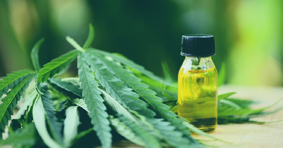 CBD Hemp Oil in India: Benefits, Legality, and the Ayurvedic Way to Use It - Vedi Herbals на we.ua