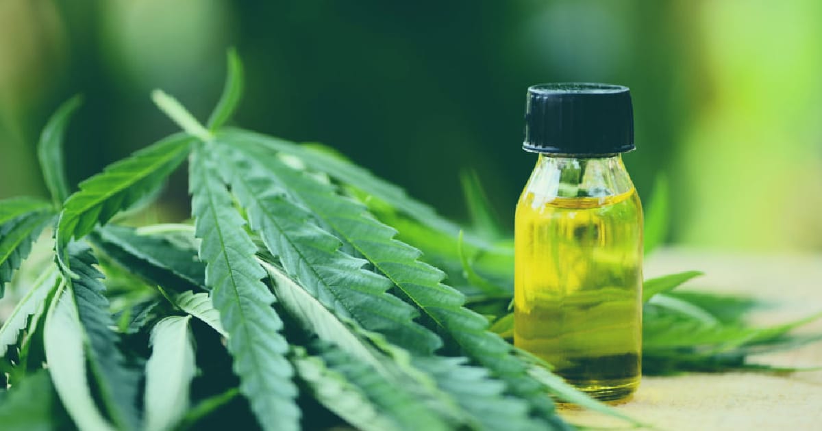 How Plant-Based Oils Are Changing Modern Skincare? - Vedi Herbals на we.ua