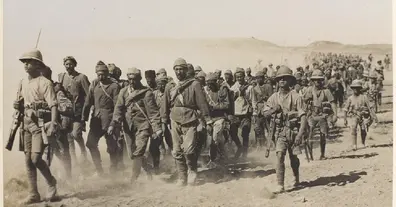 Картинка довгочиту