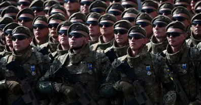 Картинка довгочиту