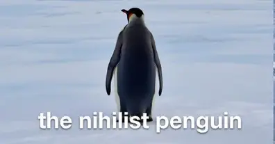 Картинка довгочиту